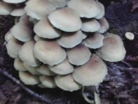 2013-09-28 08.50.34.jpg