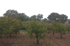 20131027_064559.jpg