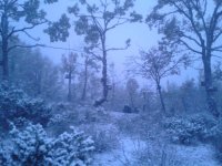 neve.jpg