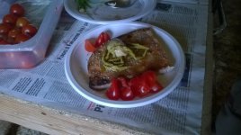bruschetta asparagi e carciofini 2015.jpg