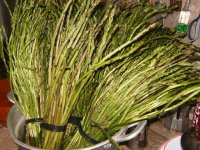 ASPARAGI 10 MARZO 2015.jpg