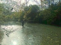 Pescatore-a-mosca.jpg