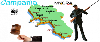 Campania 5.png