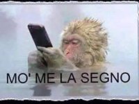 mo me la segno.jpg
