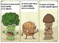 broccolo_noce_fungo.jpg