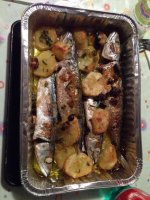 Pesca5.jpg