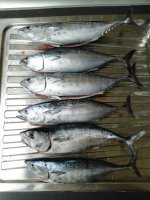 20150913_120548.jpg