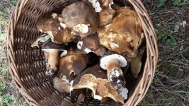 20160924_114035.jpg