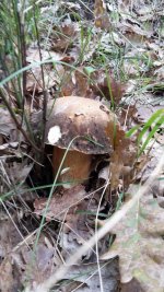 20160924_111110.jpg