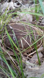 20160924_104924.jpg