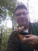 04.10.2016...Porcino.jpg