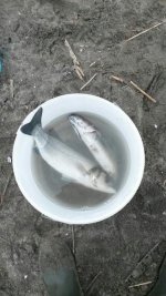 IMG-20170226-WA0000.jpg