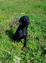 IMG-20170301-WA0012.jpg