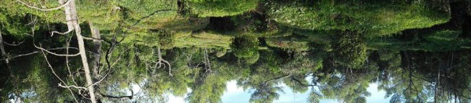 20170819_095127.jpg