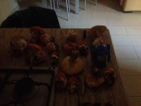 IMG_3743.jpg