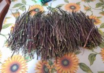 Clicca sull'immagine per ingrandirla.Â*  Nome:   3.jpgÂ* Visite: 1Â* Dimensione: 111.1 KBÂ* ID: 1813998