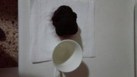 ImageUploadedByTapatalk1528660840.5306.jpg