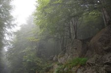 NEBBIA AMIATA AGO 16.jpg