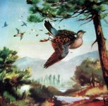 Preapertura alla tortora