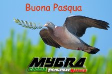 Auguri di Buona Pasqua 2024