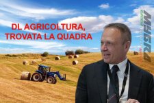 DL AGRICOLTURA, TROVATA LA QUADRA, ESCLUSO SOLO ACCORPAMENTO SIN IN AGEA