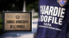 UMBRIA. UN CACCIATORE CONTESTO' UN CONTROLLO IRREGOLARE DELL'ENPA: RESTITUITE LE ARMI