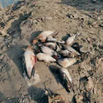 IMG20241201132820.webp