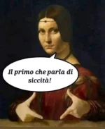 47.webp