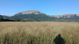 ALTOPIANO AQ.webp
