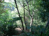 2012-08-23 09.53.47.jpg