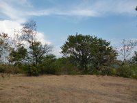 P1000237.jpg