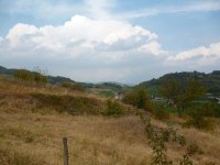 P1000245.jpg