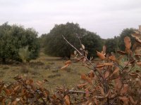 Posto di caccia.jpg Posto di caccia.jpg