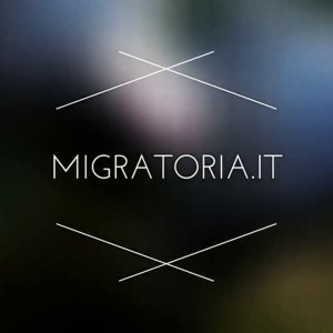 Colombacci  in migrazione 2017   VIDEO COMPLETO