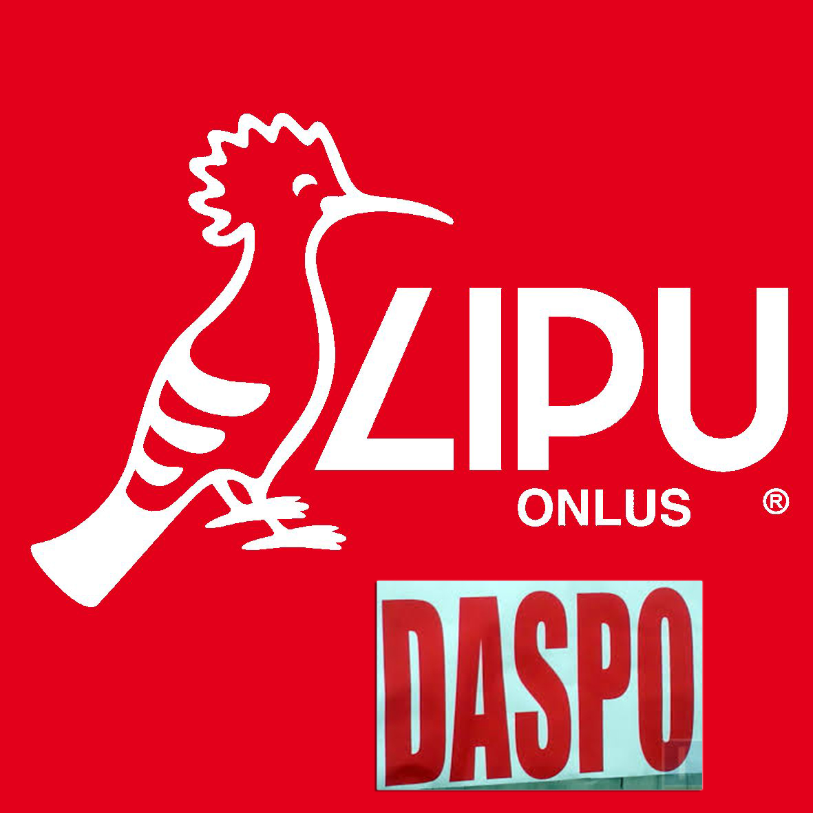 LIPU-DASPO.jpg