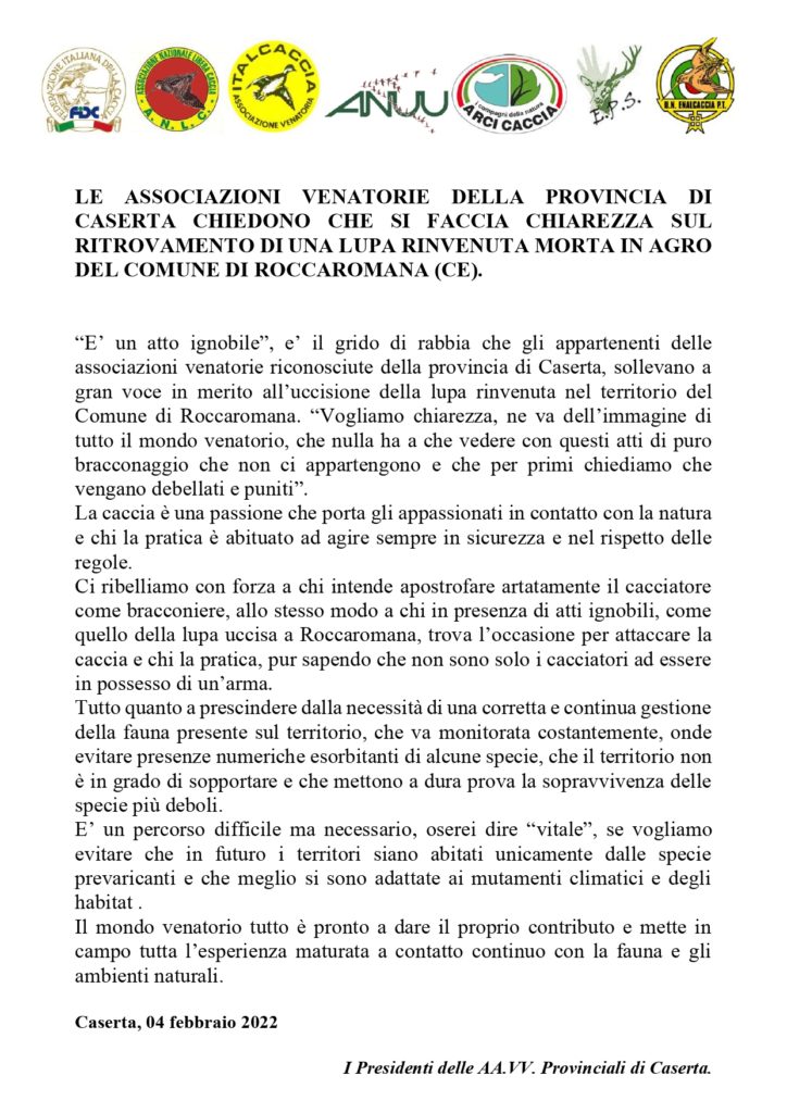 Campania: Le Associazioni Venatorie della Provincia di Caserta chiedono chiarezza sul rinvenimento della lupa trovata morta
